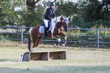 Bild 225 - Pony Akademie Turnier